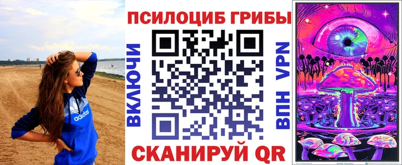 Купить где  Жуковский  Псилоцибиновые грибы GOLDEN TEACHER 